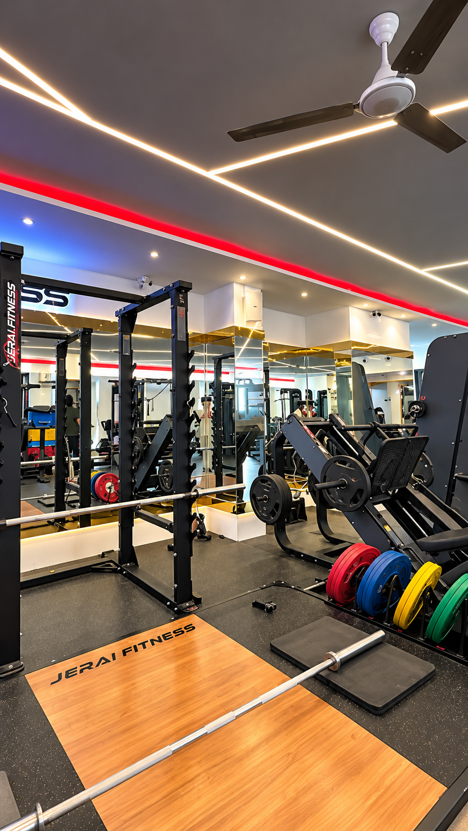 Olympic Deadlift & Leg Press